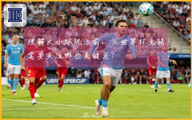 理解大小球玩法前，买世界杯竞猜需要关注哪些关键点？