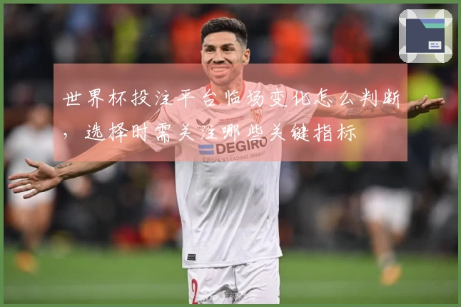 世界杯投注平台临场变化怎么判断，选择时需关注哪些关键指标