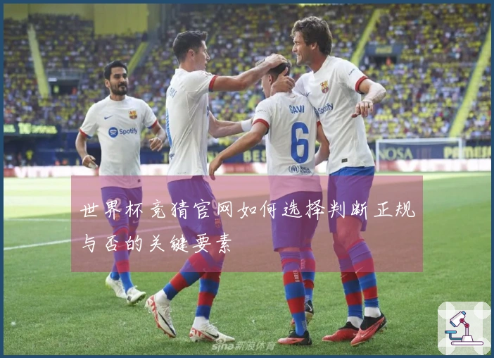 世界杯竞猜官网如何选择判断正规与否的关键要素