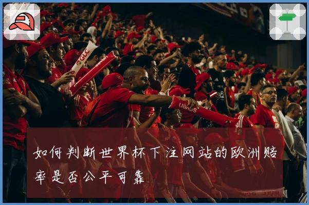 如何判断世界杯下注网站的欧洲赔率是否公平可靠