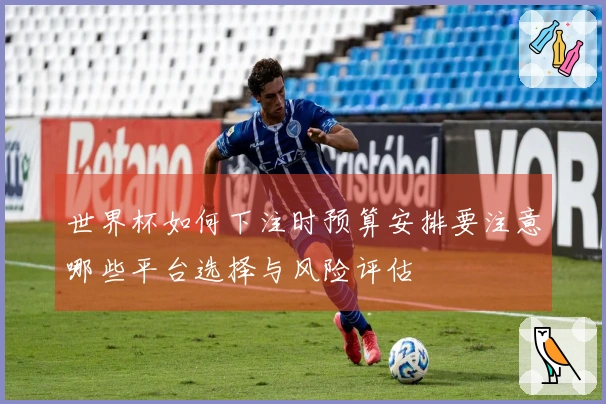 世界杯如何下注时预算安排要注意哪些平台选择与风险评估