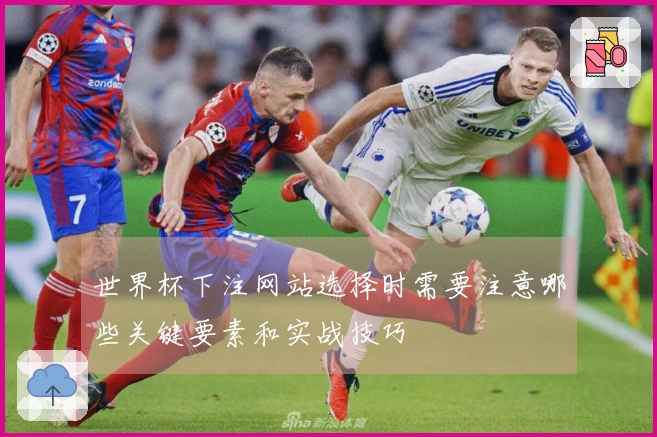 世界杯下注网站选择时需要注意哪些关键要素和实战技巧