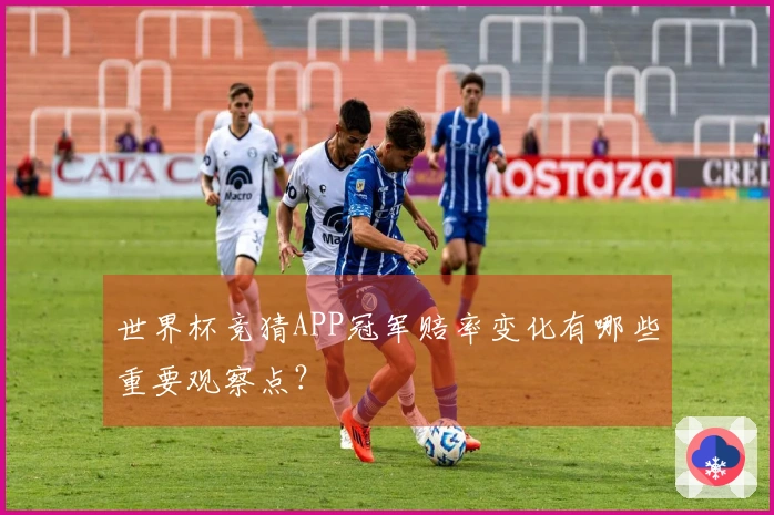 世界杯竞猜APP冠军赔率变化有哪些重要观察点？