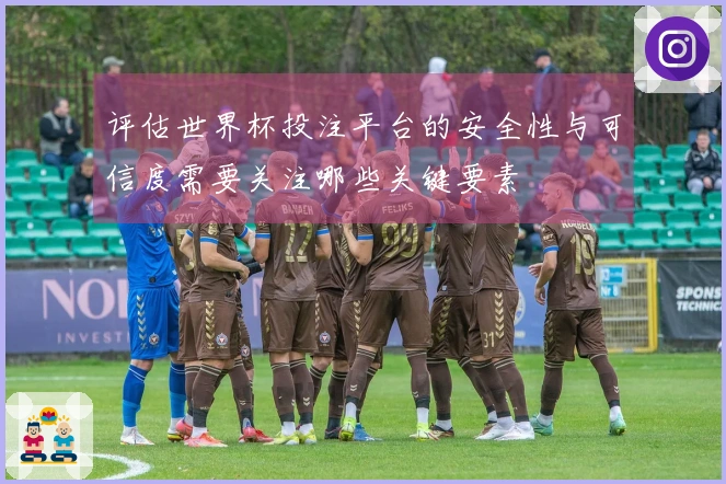 评估世界杯投注平台的安全性与可信度需要关注哪些关键要素