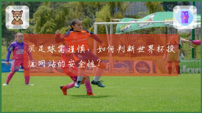 买足球需谨慎，如何判断世界杯投注网站的安全性？