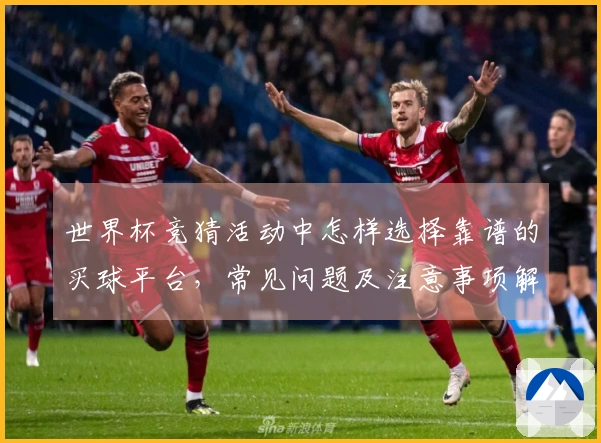 世界杯竞猜活动中怎样选择靠谱的买球平台，常见问题及注意事项解析