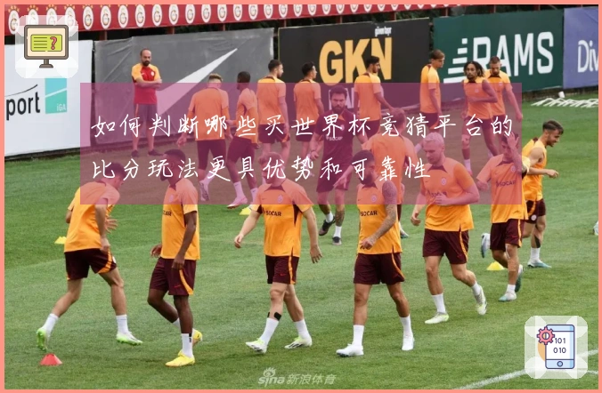 如何判断哪些买世界杯竞猜平台的比分玩法更具优势和可靠性