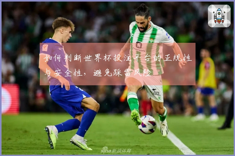 如何判断世界杯投注平台的正规性与安全性，避免踩雷风险