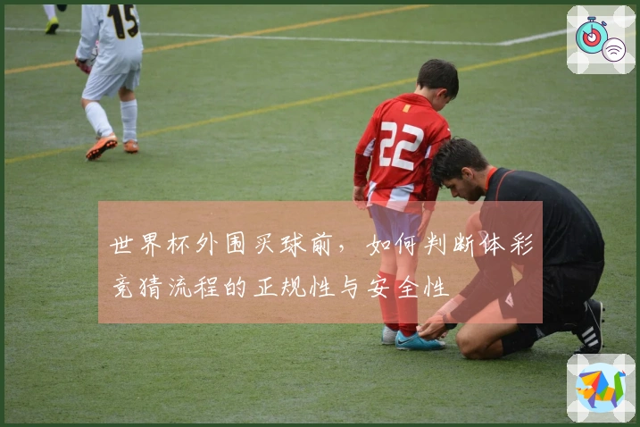 世界杯外围买球前，如何判断体彩竞猜流程的正规性与安全性