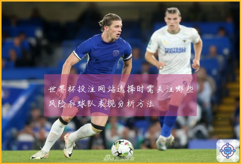 世界杯投注网站选择时需关注哪些风险和球队表现分析方法