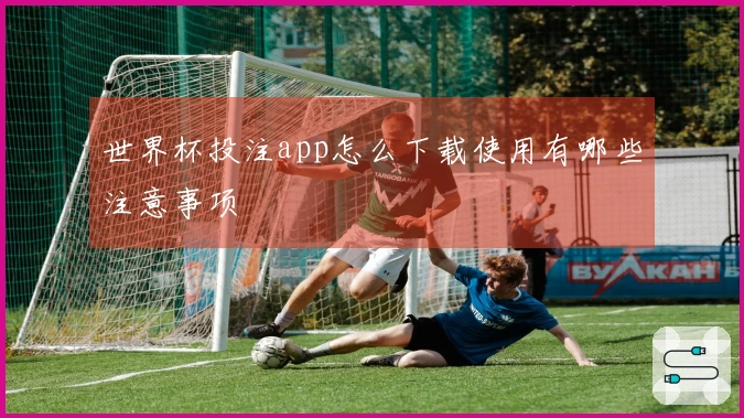 世界杯投注app怎么下载使用有哪些注意事项