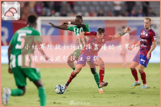 小组赛阶段如何选择靠谱的世界杯竞猜网站进行投注分析