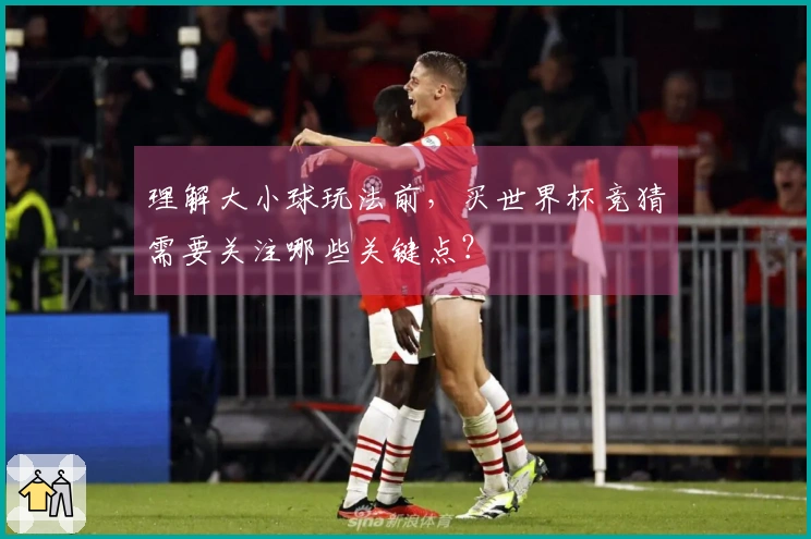 理解大小球玩法前，买世界杯竞猜需要关注哪些关键点？