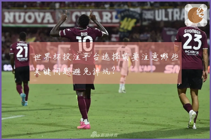 世界杯投注平台选择前要注意哪些关键问题避免掉坑？