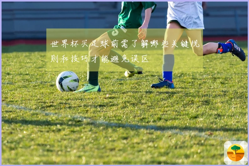 世界杯买足球前需了解哪些关键规则和技巧才能避免误区