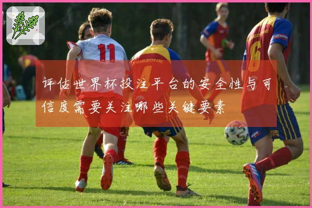 评估世界杯投注平台的安全性与可信度需要关注哪些关键要素