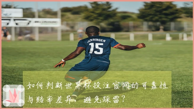 如何判断世界杯投注官网的可靠性与赔率差异，避免踩雷？