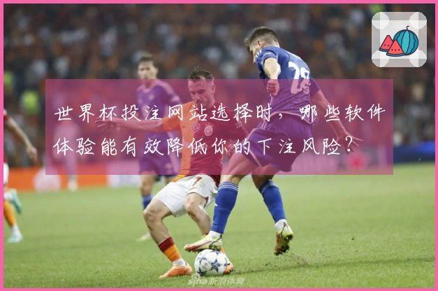 世界杯投注网站选择时，哪些软件体验能有效降低你的下注风险？