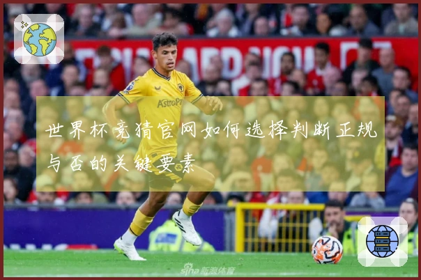 世界杯竞猜官网如何选择判断正规与否的关键要素