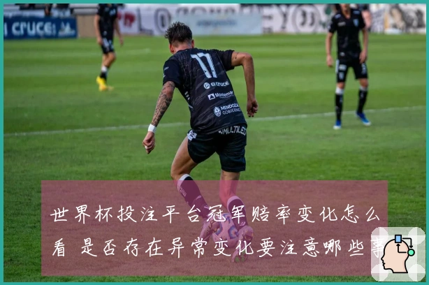 世界杯投注平台冠军赔率变化怎么看 是否存在异常变化要注意哪些事项
