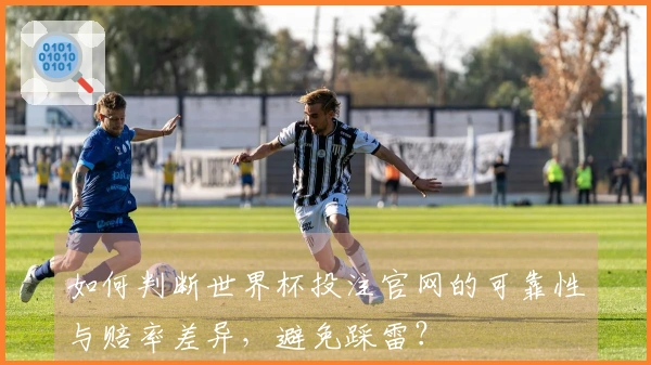 如何判断世界杯投注官网的可靠性与赔率差异，避免踩雷？