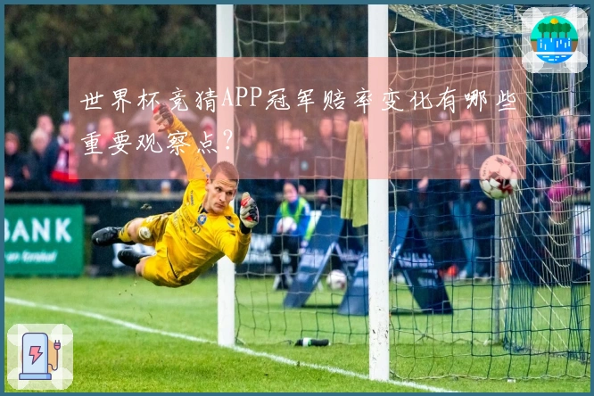世界杯竞猜APP冠军赔率变化有哪些重要观察点？